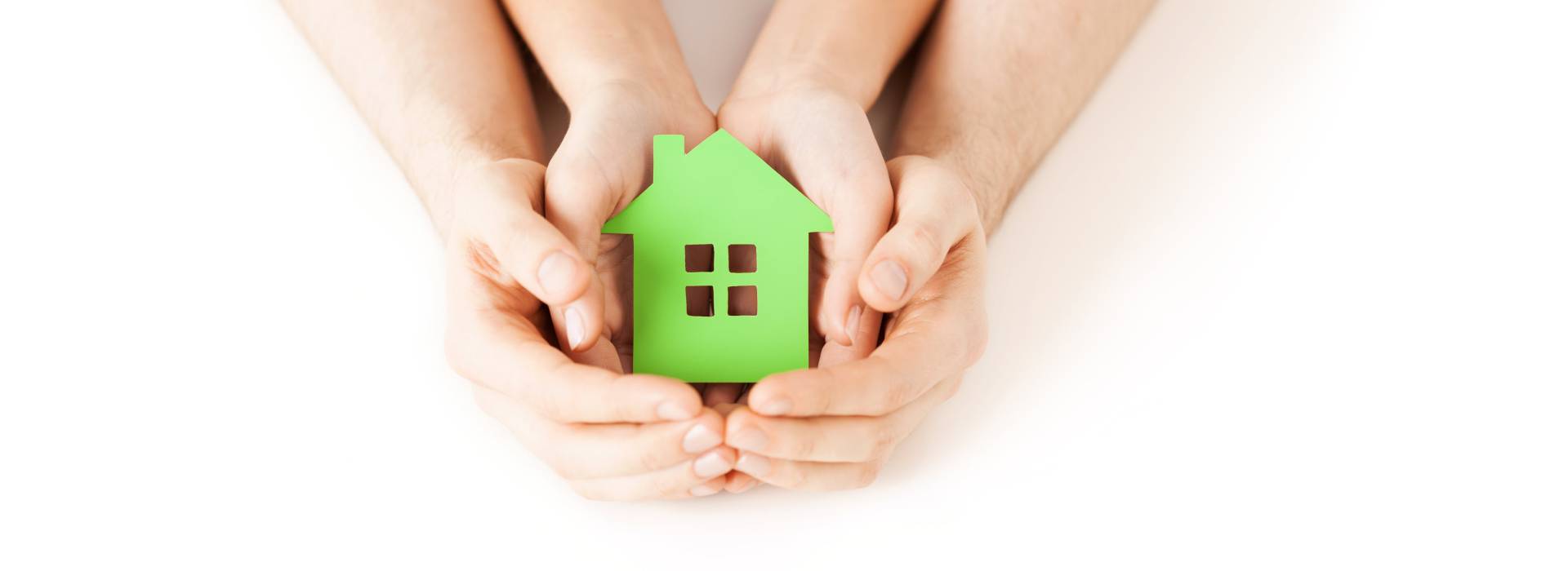 main banner
